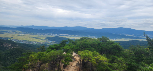 남산 등산로