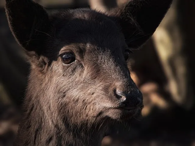 2025 2026 시즌 흥국생명 배구단 선수 명단 및 연봉 계약 FA 외국인 선수 정보 로스터 분석_6