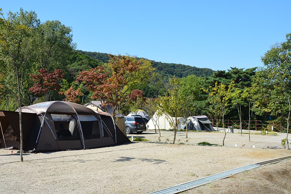 [경기도 캠핑장 추천] 파주에서 꼭 가봐야 할 인기 캠핑장 6곳 총정리!