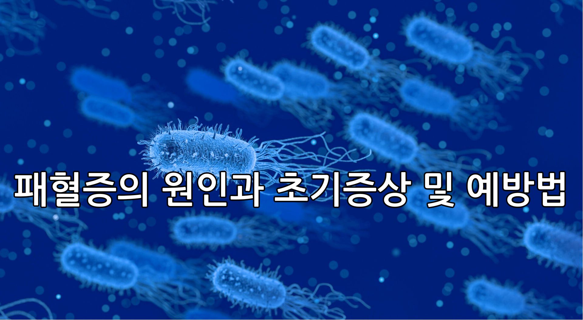 패혈증 원인