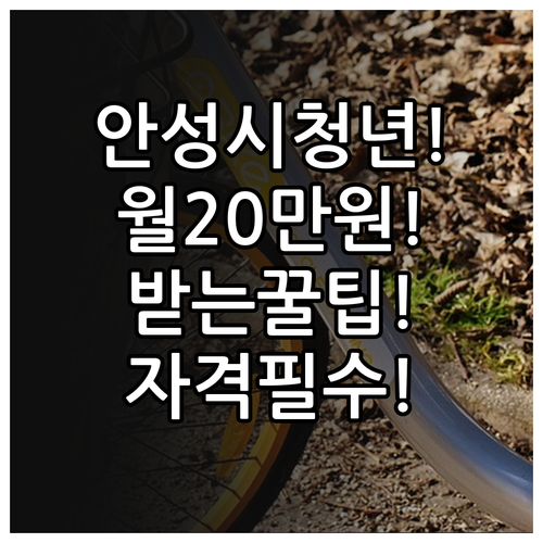 안성시 청년월세 월 20만원 받는 방..