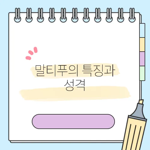 말티푸의 특징과 성격, 체중, 그리고 분양가를 알아보자