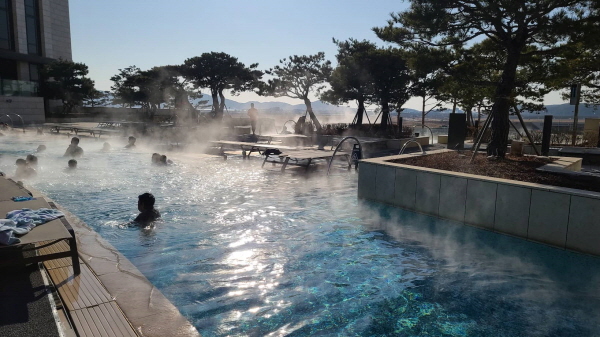 파라다이스 수영장