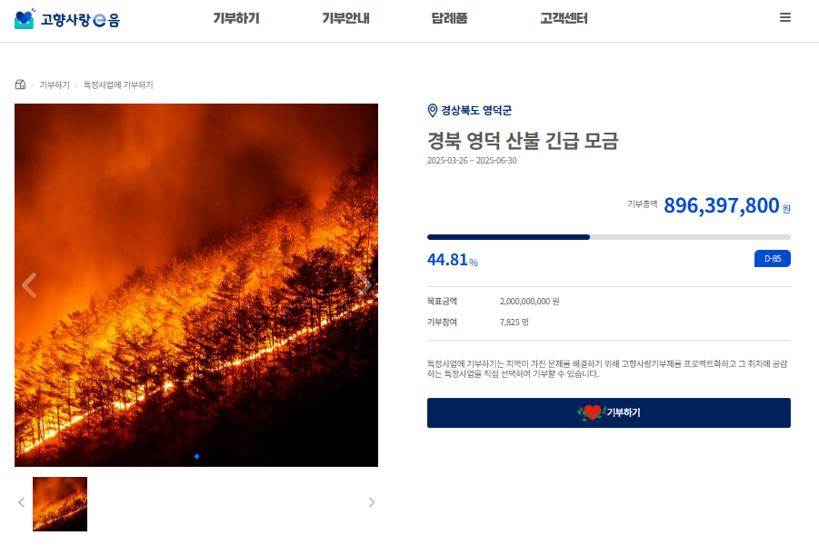 산불피해지역 기부