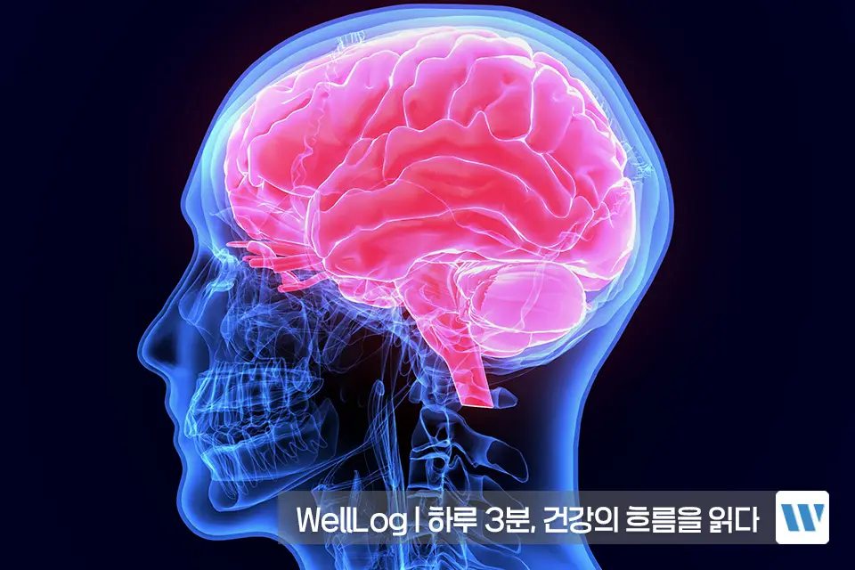 포스파티딜세린 효능 효과