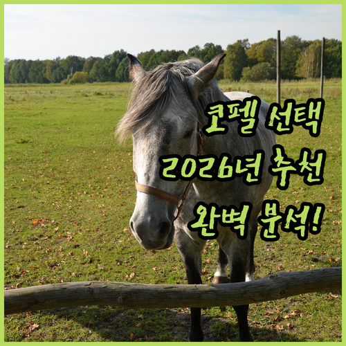 캠핑 코펠 선택 가이드 2026년 추..