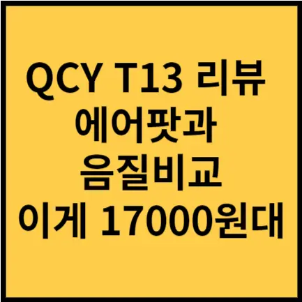 qcy t13