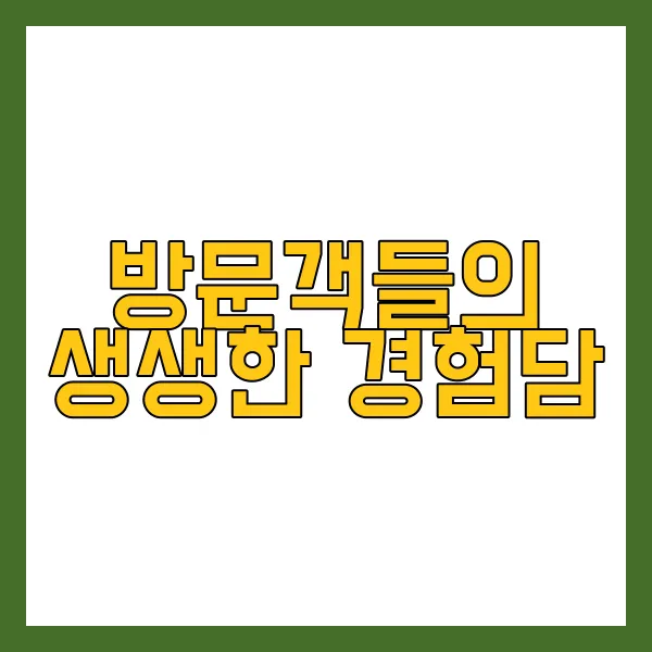방문객들의 생생한 경험담