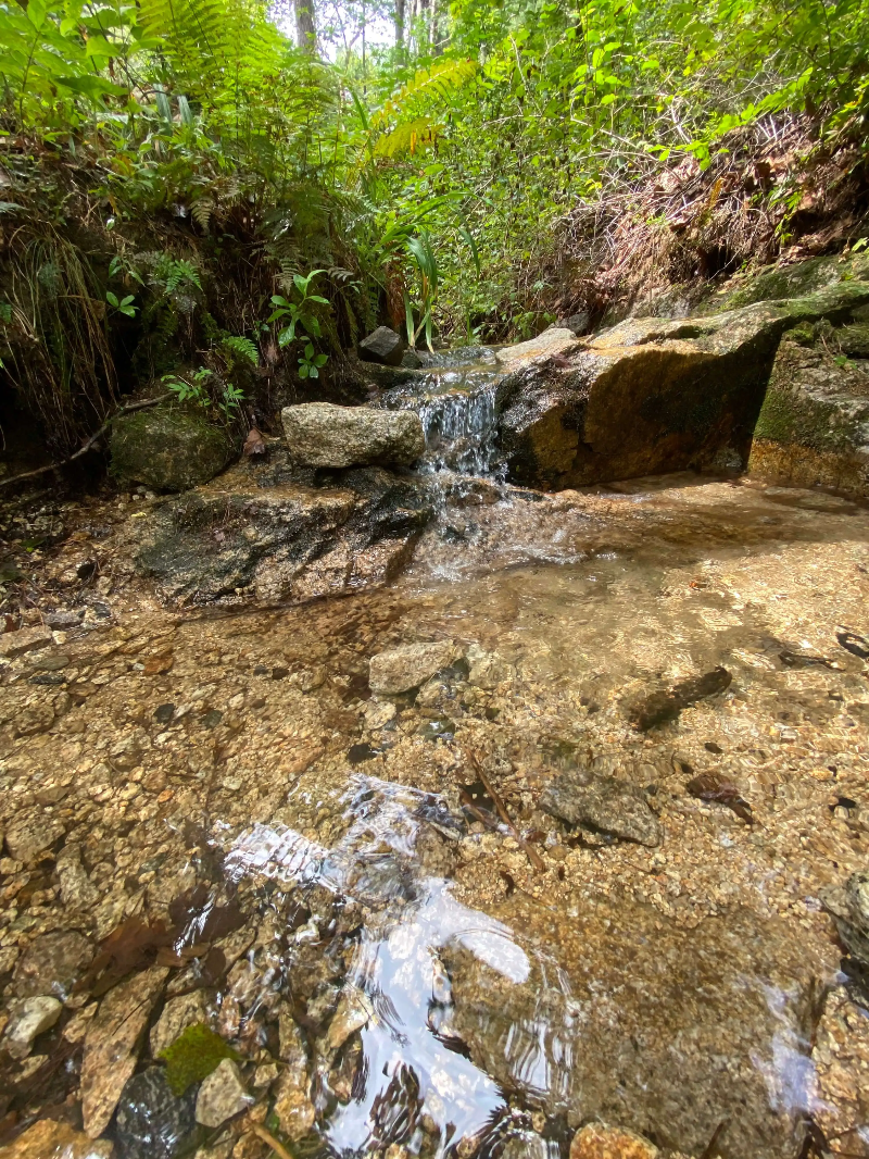 가평 운악산 출렁다리 국내여행