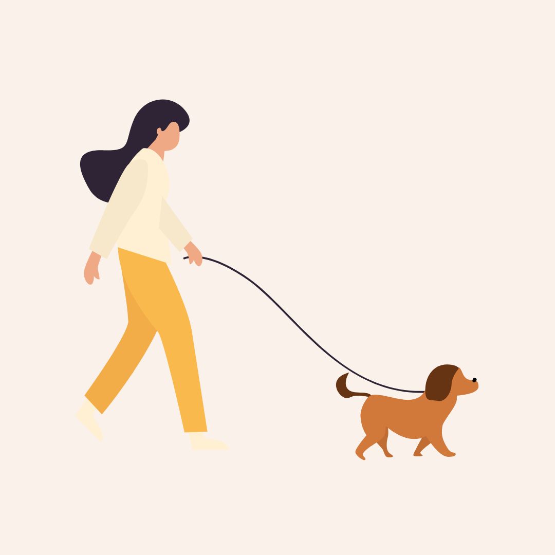 용인/새로운/인기/핫플/용/자작나/숲