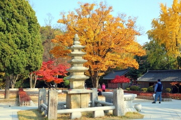 단풍과 함께 즐기는 사찰 여행지 추천 5선_화성 용주사