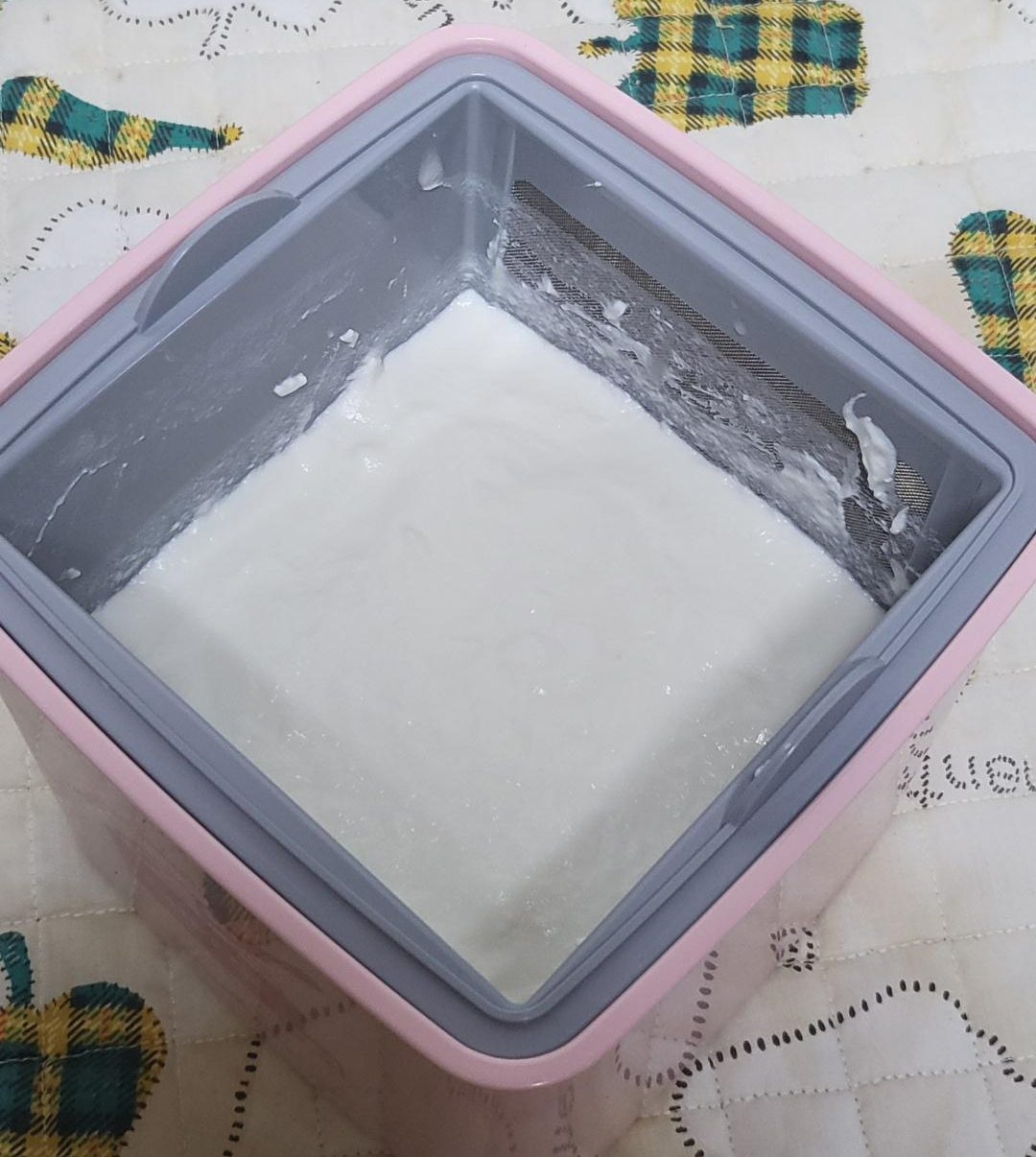 유청 제거 중인 그릭요거트