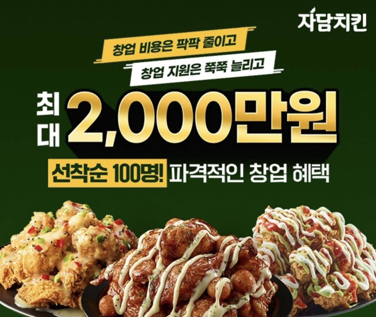 자담치킨 창업비용