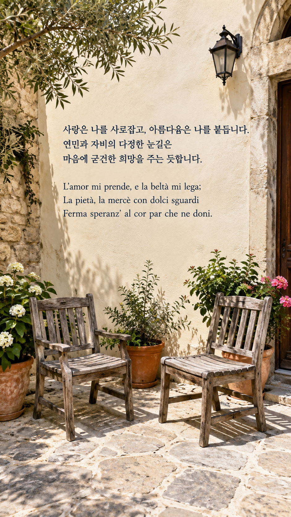 희망을 주는 온화함: 사랑은 나를 사로잡고, 아름다움은 나를 붙듭니다. 연민과 자비의 다정한 눈길은 마음에 굳건한 희망을 주는 듯합니다. 온플래쉬스냅, 뜰에 마주 놓인 빈 의자 두 개.