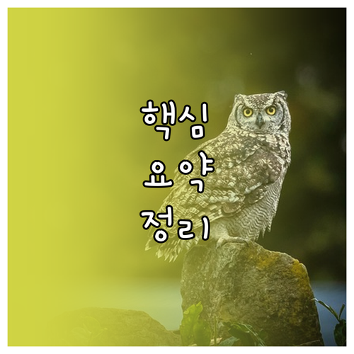 새집 완벽 이사청소: 견적 확인, 업..