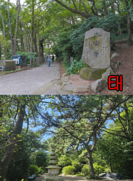 태종대 다누비열차 시간, 요금, 주차장