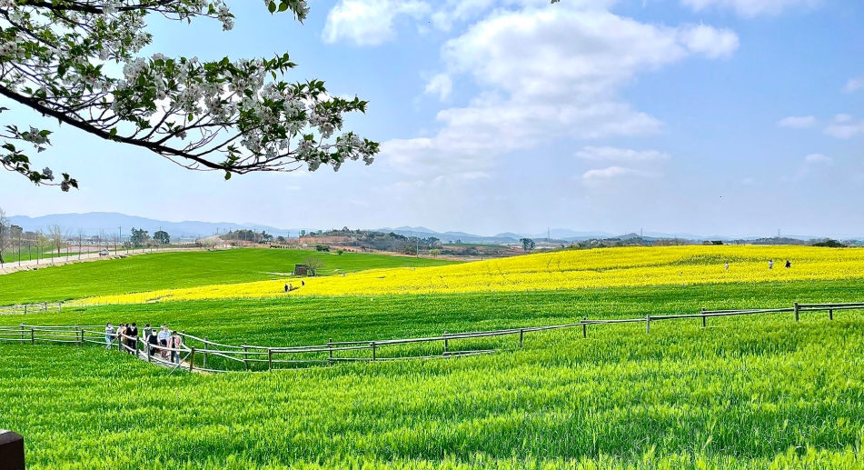 고창여행 학원농원