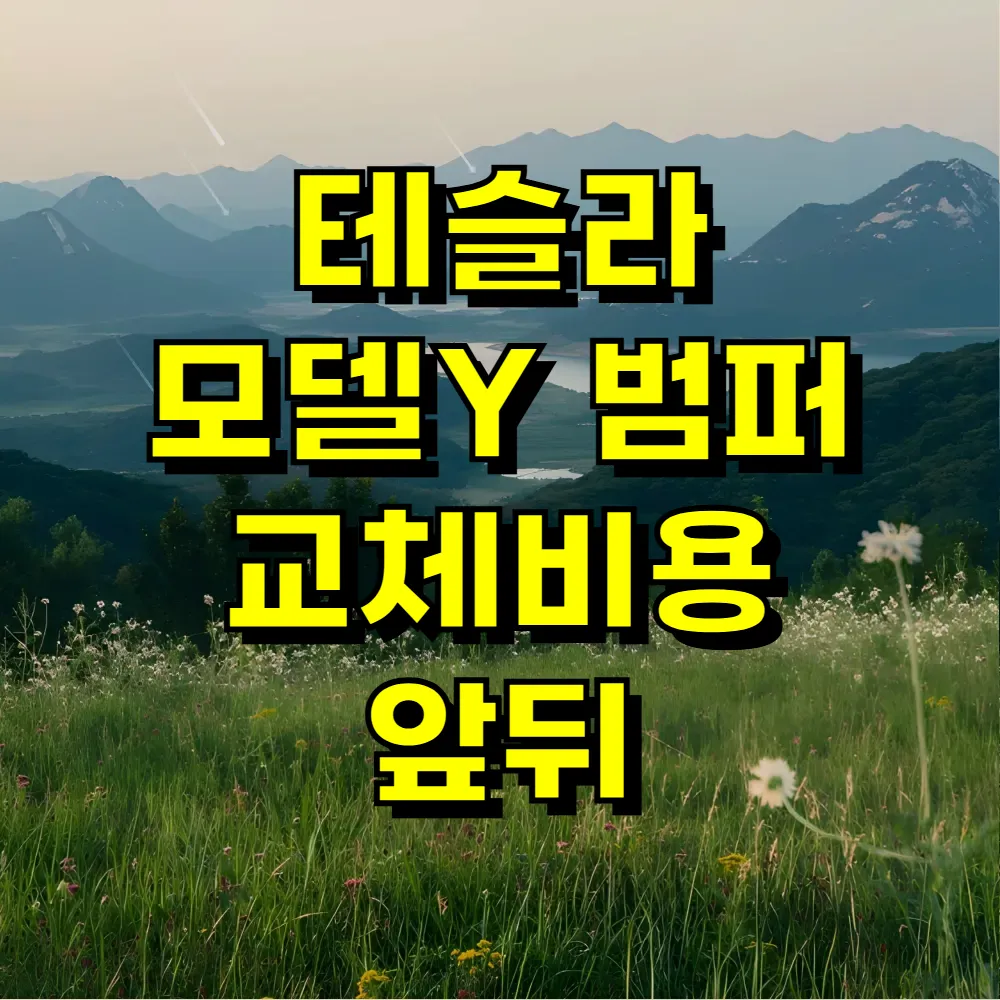 테슬라 모델Y 범퍼 교체비용 앞뒤