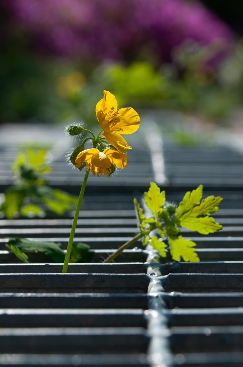 재생 전력 계통 제어 (출력 예측, ESS운영, 모델)