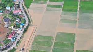 손해평가사 시험과목, 시험일정, 합격률, 전망