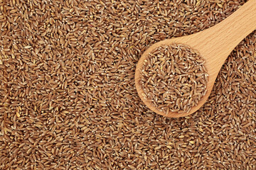 파로 곡물 효능과 부작용, 가격, 원산지, 먹는 법, 파로 곡물 추천 순위(24년 11월)