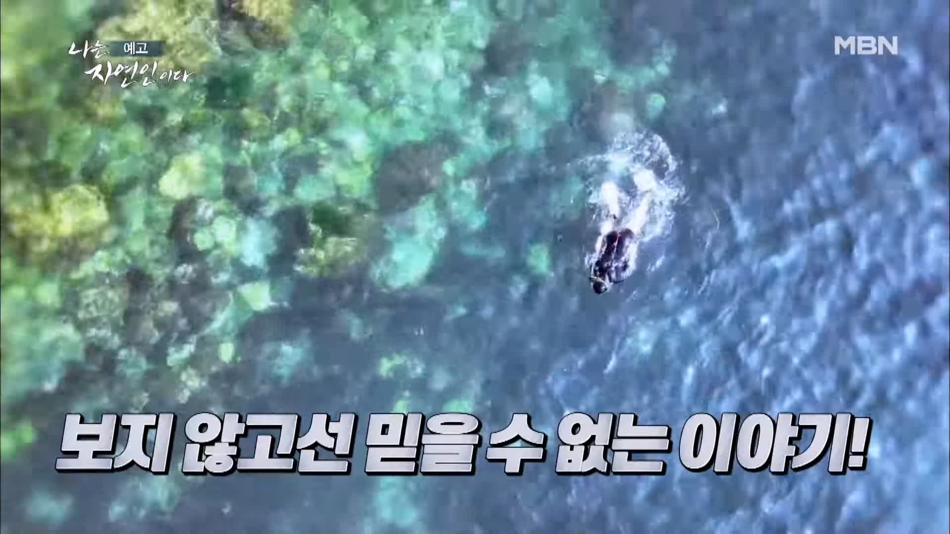 이승윤 윤택 나는 자연인이다 530회 바다에 빠진 그 사나이 자연인 정영희 소개 및 출연 다시보기