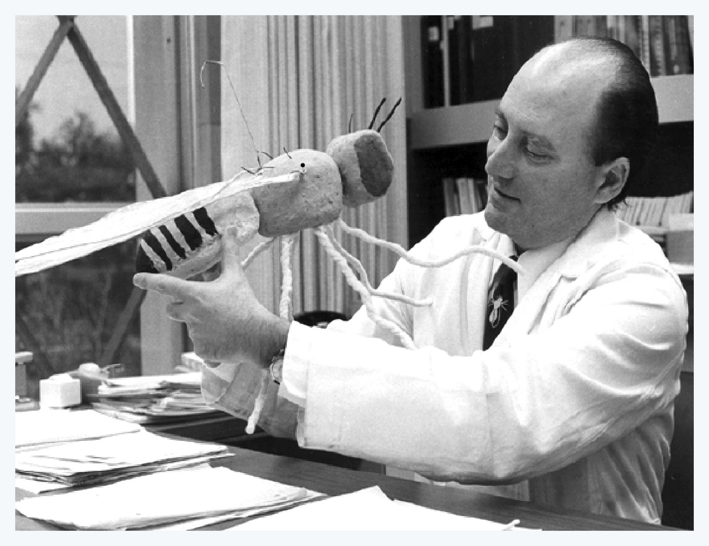 세이무어 벤저 교수, 초파리