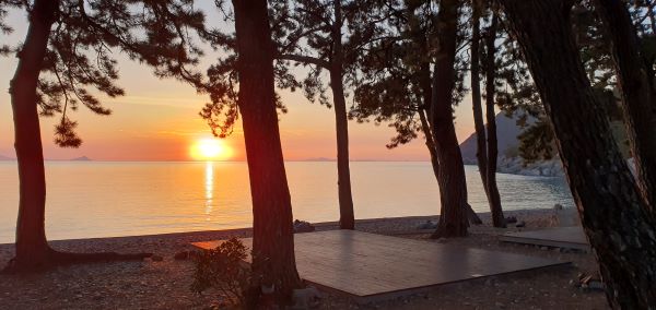 나로힐링캠핑장_사이트