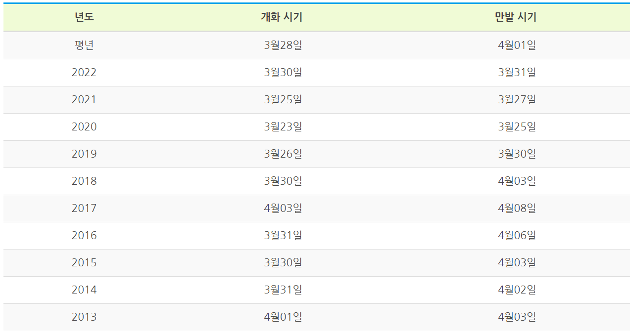 경주 벚꽃 개화시기