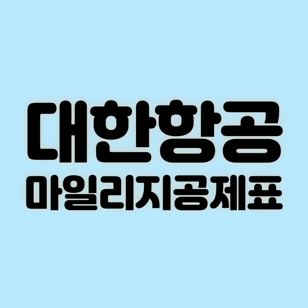 대한항공 마일리제 공제표