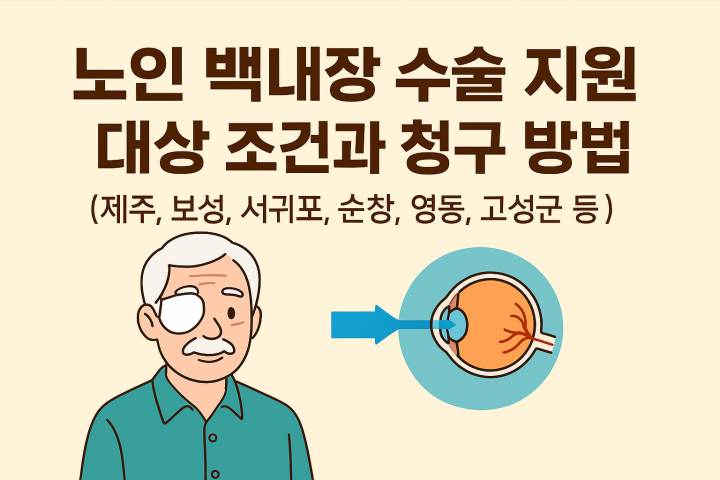 노인 백내장 수술 지원