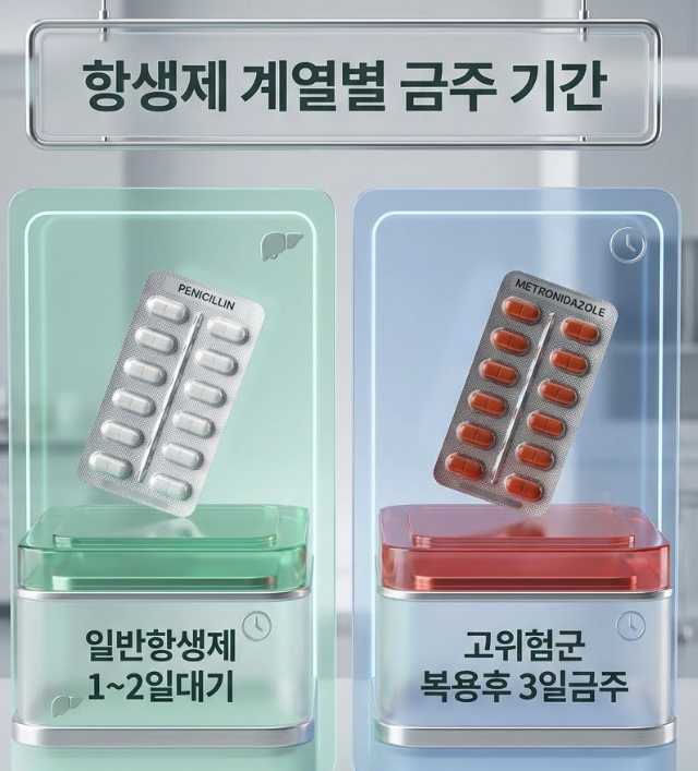 항생제와 알코올이 만나면 왜 위험할까요?