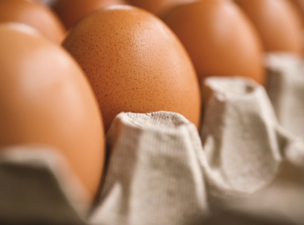 대장내시경 전 음식주의사항 25