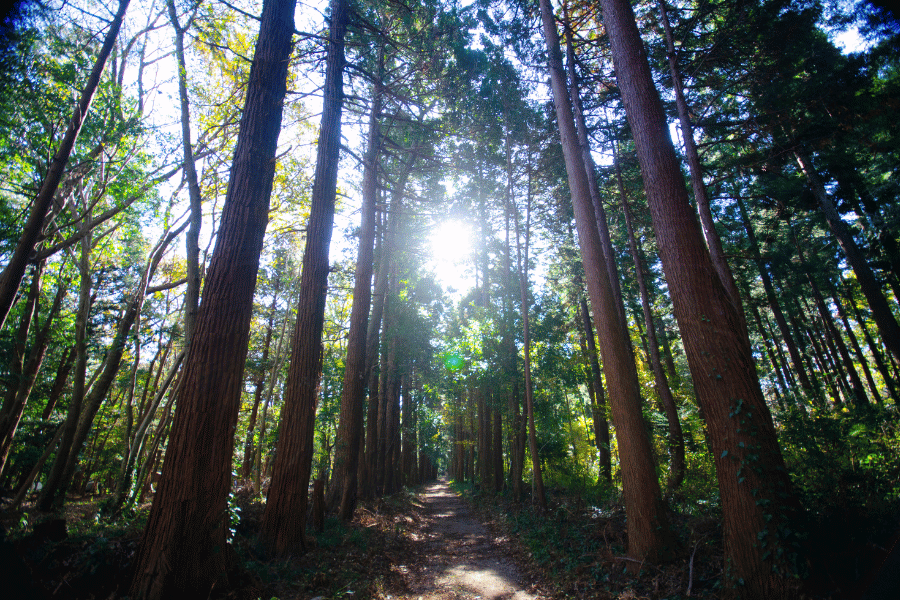 겨울철 웰니스 여행 코스