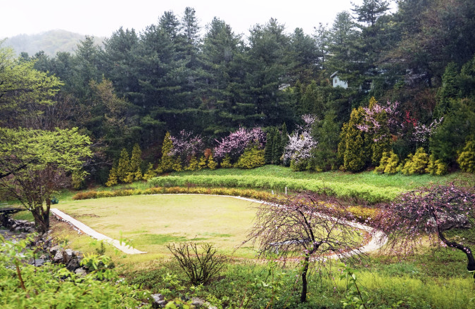 서후리숲 이미지