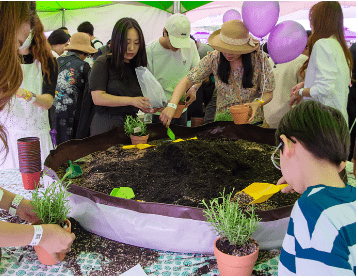 2024 무릉별유천지 라벤더축제