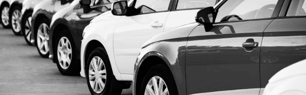 올뉴 K3 GT 중고차 시세 가격