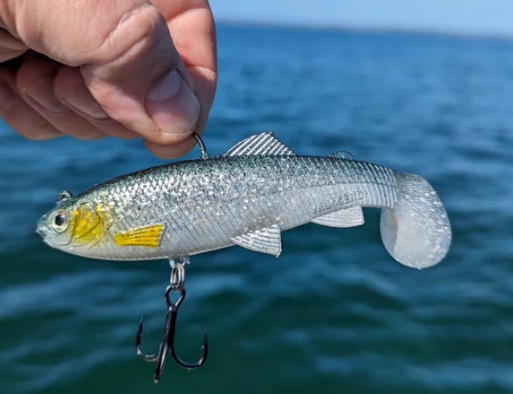 지깅낚시 방법 - 채비 고르는 방법(낚시대, 릴, 낚시줄, 미끼)