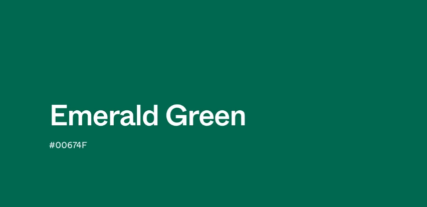 초록색(green) 계열의 색상 종류처럼 색과 아이템을 연결해 전체 착장을 정돈한 코디입니다.
