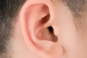 귀