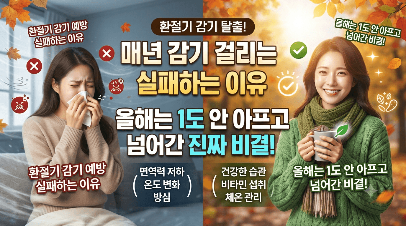 환절기 감기 예방 실패하는 이유와 올해는 1도 안 아프고 넘어간 비결