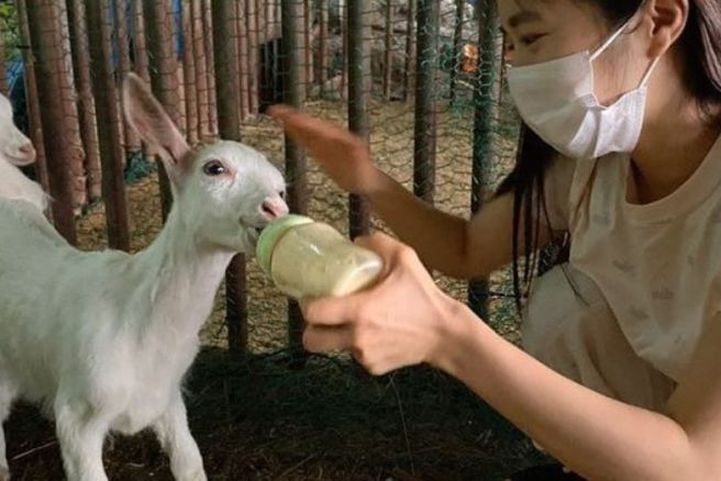 이혜성 아나운서 나이 프로필 총정리｜서울대 학력&middot;고향&middot;키&middot;결혼&middot;전현무 결별&middot;최근 근황