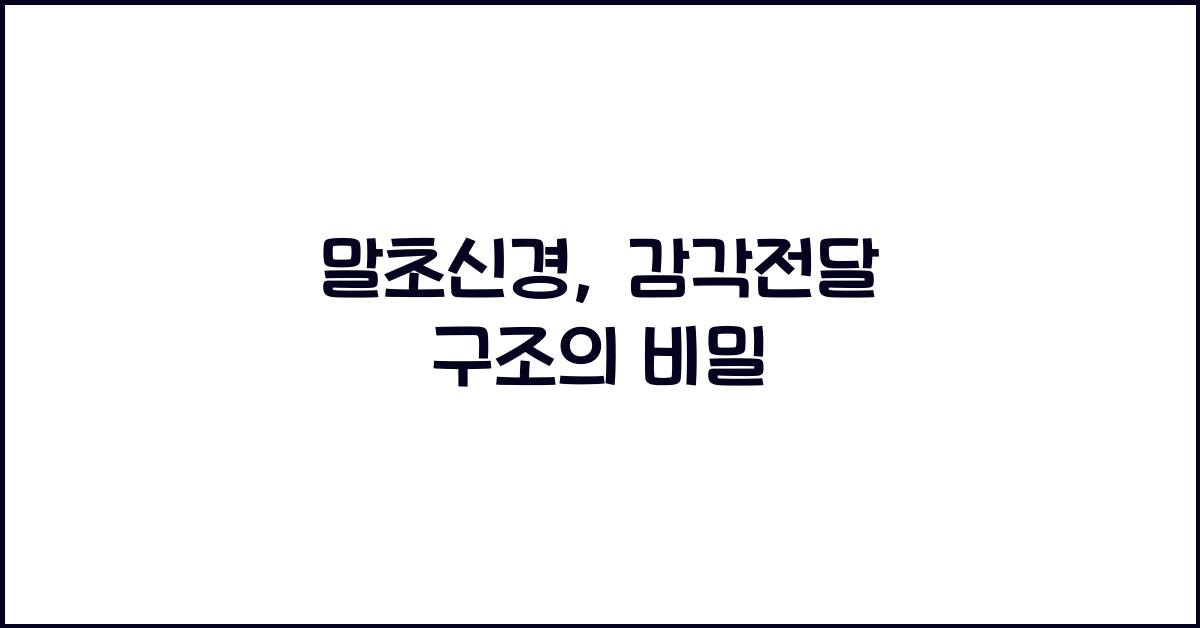 말초신경, 감각전달 구조