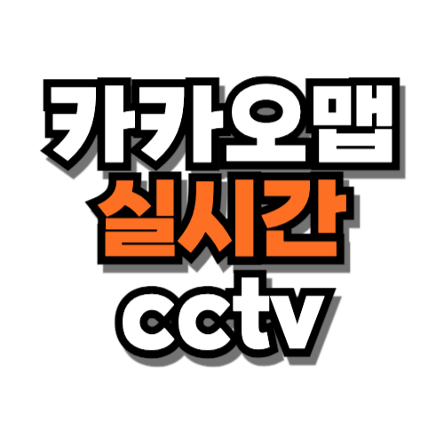 카카오맵 실시간 cctv