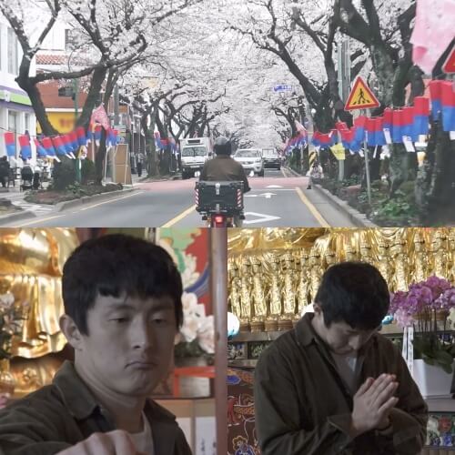 나 혼자 산다 기안84 제주도 벚꽃길 스쿠터 대여