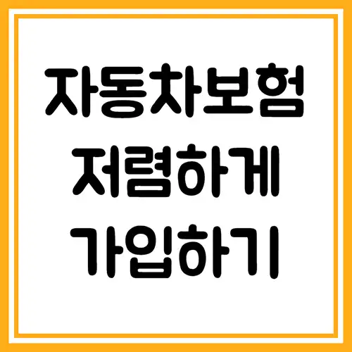 자동차-보험