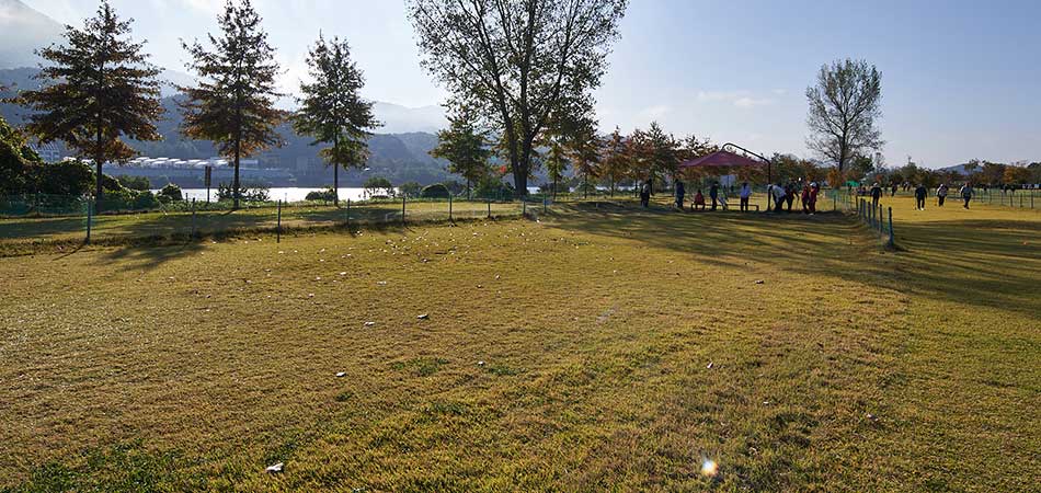 가평 파크골프장 예약