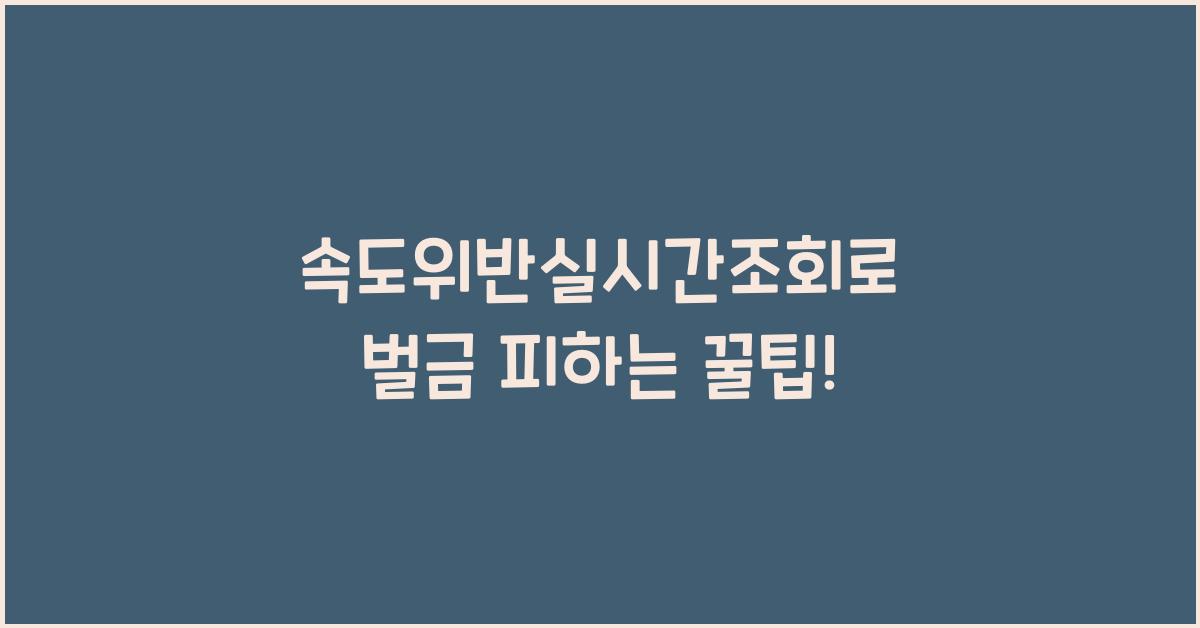 속도위반실시간조회