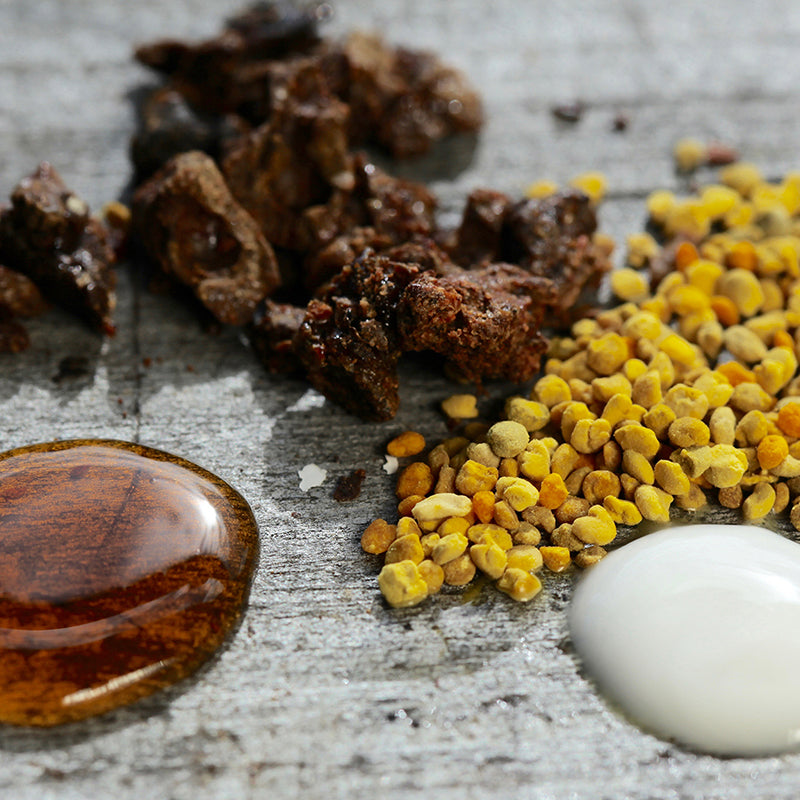 프로폴리스 효능