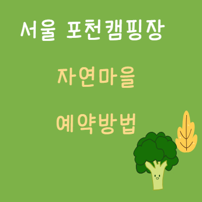 서울 포천캠핑장
